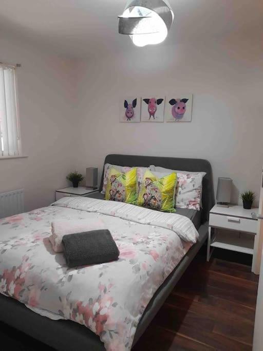 Belfast Apartment Exterior foto